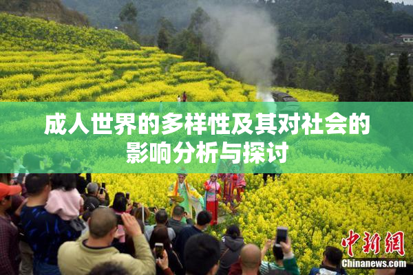 成人世界的多样性及其对社会的影响分析与探讨