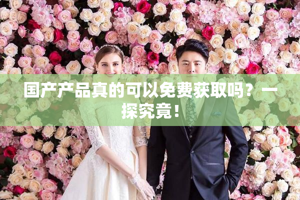 国产产品真的可以免费获取吗？一探究竟！