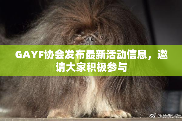 GAYF协会发布最新活动信息，邀请大家积极参与