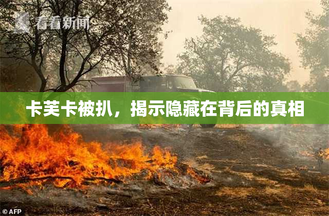 卡芙卡被扒，揭示隐藏在背后的真相