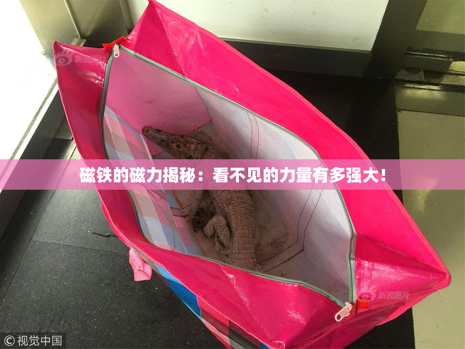 磁铁的磁力揭秘：看不见的力量有多强大！