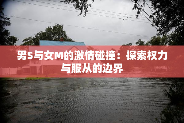 男S与女M的激情碰撞：探索权力与服从的边界