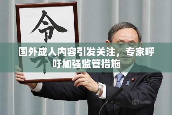 国外成人内容引发关注，专家呼吁加强监管措施