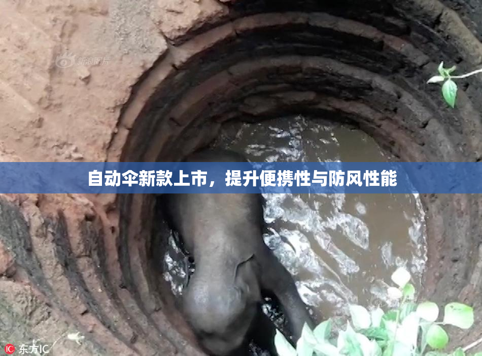 自动伞新款上市，提升便携性与防风性能
