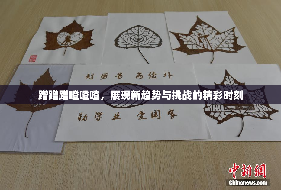 蹭蹭蹭噔噔噔，展现新趋势与挑战的精彩时刻