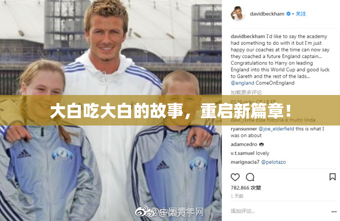 大白吃大白的故事，重启新篇章！
