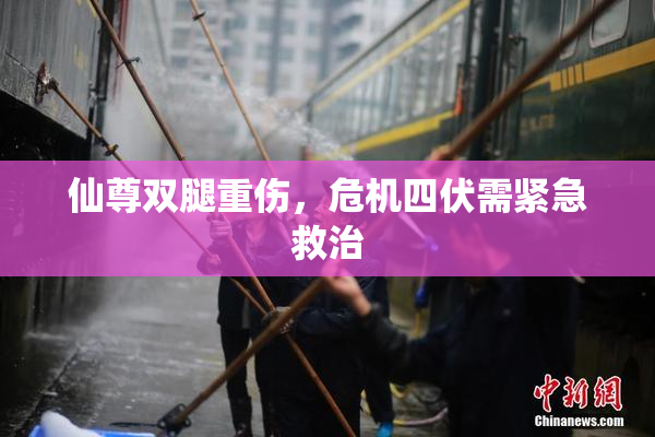 仙尊双腿重伤，危机四伏需紧急救治