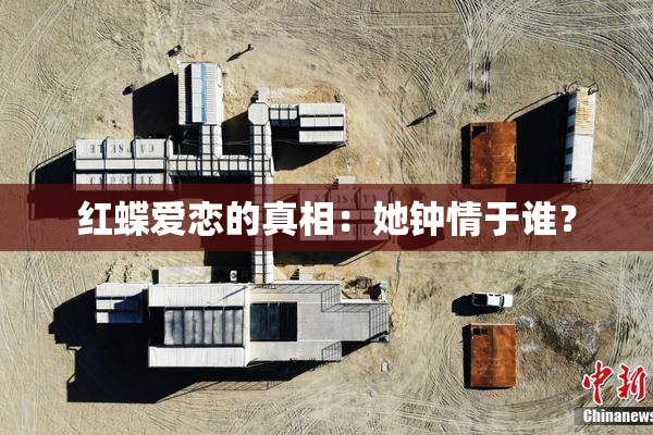 红蝶爱恋的真相：她钟情于谁？