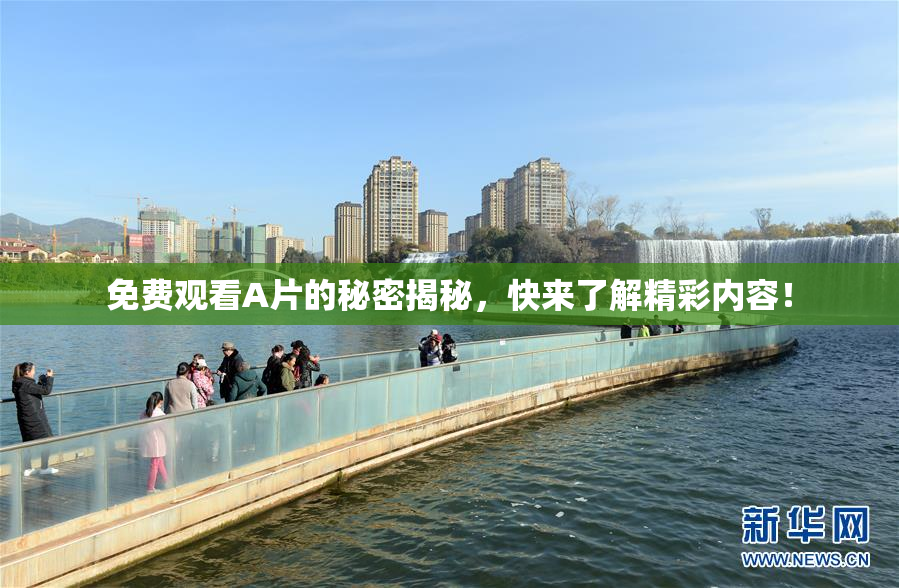 免费观看A片的秘密揭秘，快来了解精彩内容！
