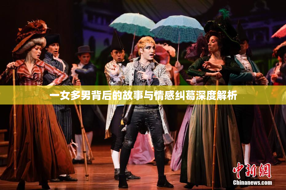 一女多男背后的故事与情感纠葛深度解析