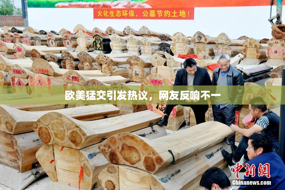 欧美猛交引发热议，网友反响不一
