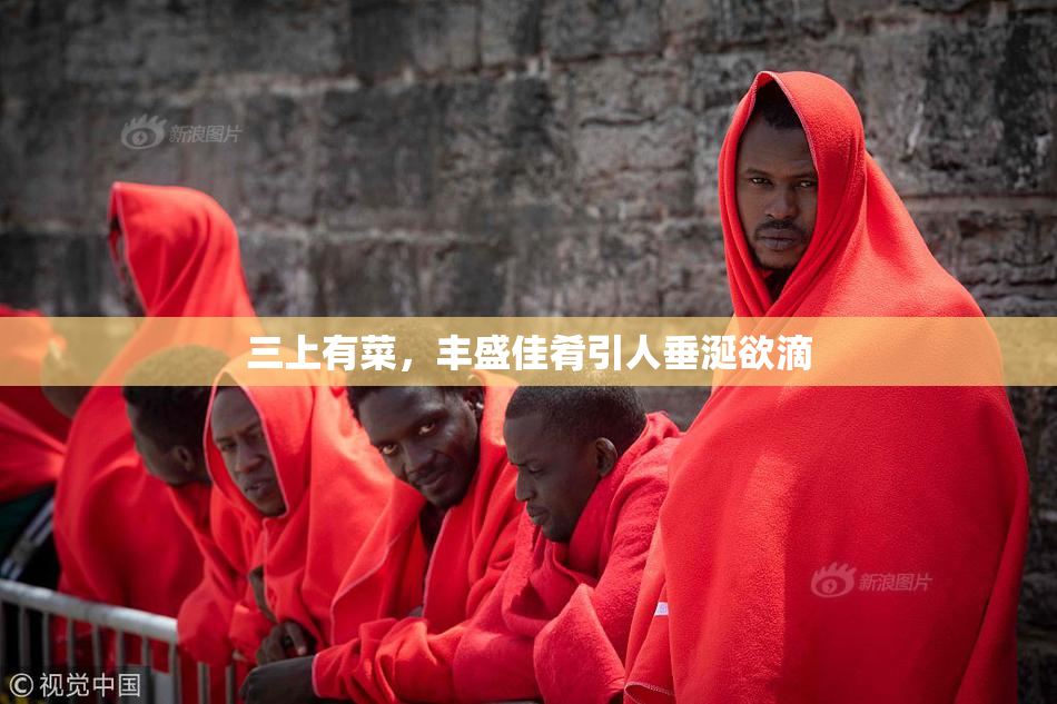 三上有菜，丰盛佳肴引人垂涎欲滴