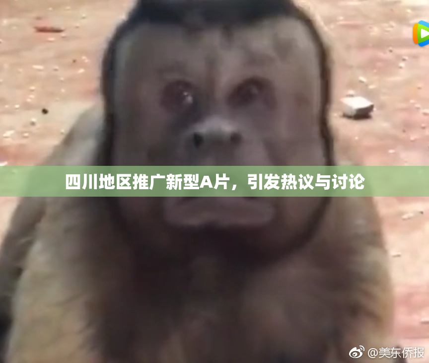 四川地区推广新型A片，引发热议与讨论