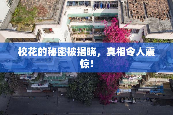 校花的秘密被揭晓，真相令人震惊！