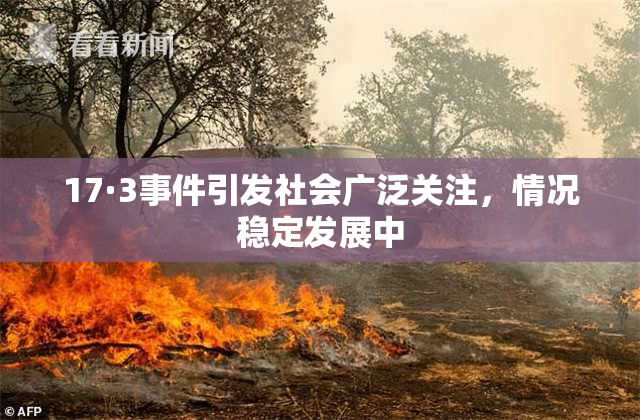 17·3事件引发社会广泛关注，情况稳定发展中