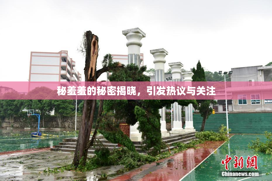 秘羞羞的秘密揭晓，引发热议与关注