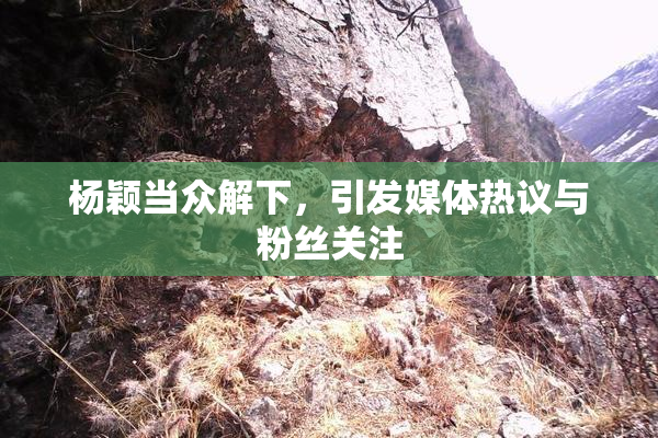 杨颖当众解下，引发媒体热议与粉丝关注