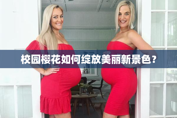 校园樱花如何绽放美丽新景色？
