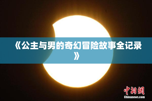 《公主与男的奇幻冒险故事全记录》