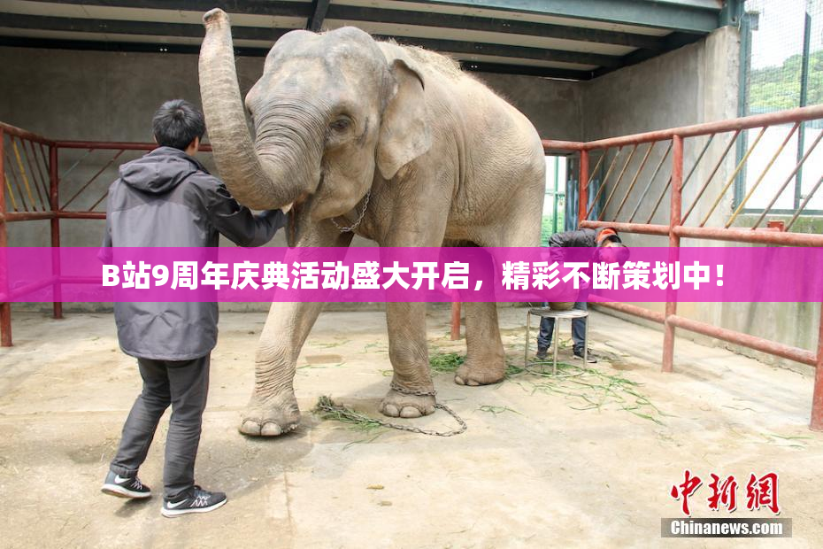 B站9周年庆典活动盛大开启，精彩不断策划中！
