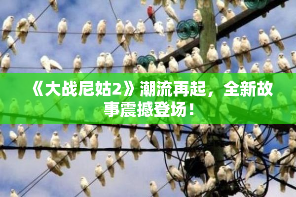 《大战尼姑2》潮流再起，全新故事震撼登场！