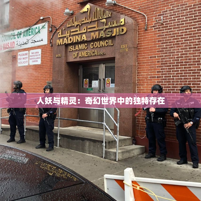 人妖与精灵：奇幻世界中的独特存在
