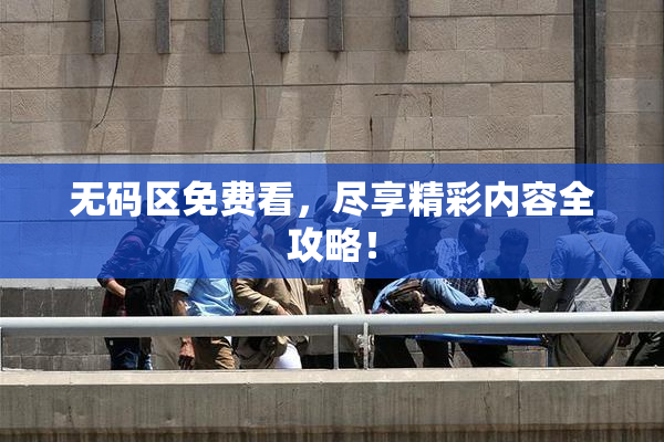 无码区免费看，尽享精彩内容全攻略！