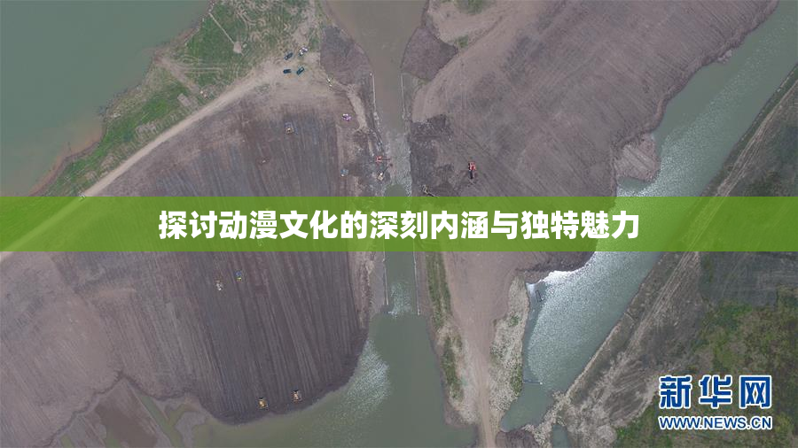探讨动漫文化的深刻内涵与独特魅力