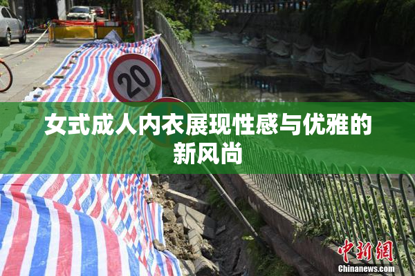 女式成人内衣展现性感与优雅的新风尚