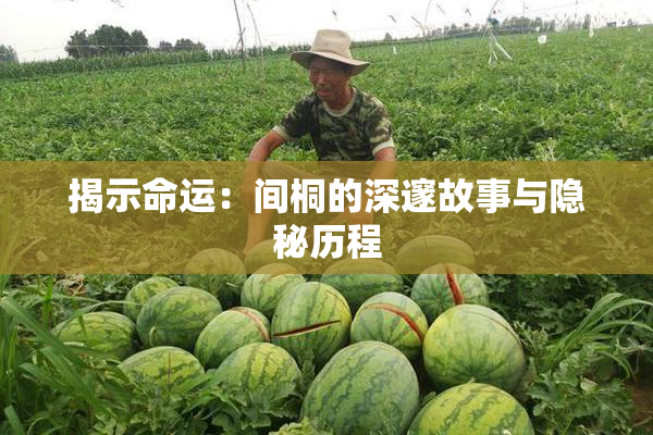揭示命运：间桐的深邃故事与隐秘历程