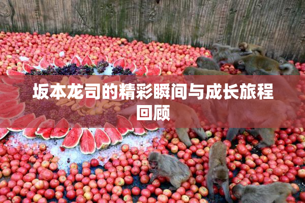 坂本龙司的精彩瞬间与成长旅程回顾
