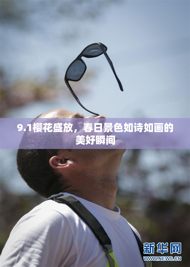 9.1樱花盛放，春日景色如诗如画的美好瞬间