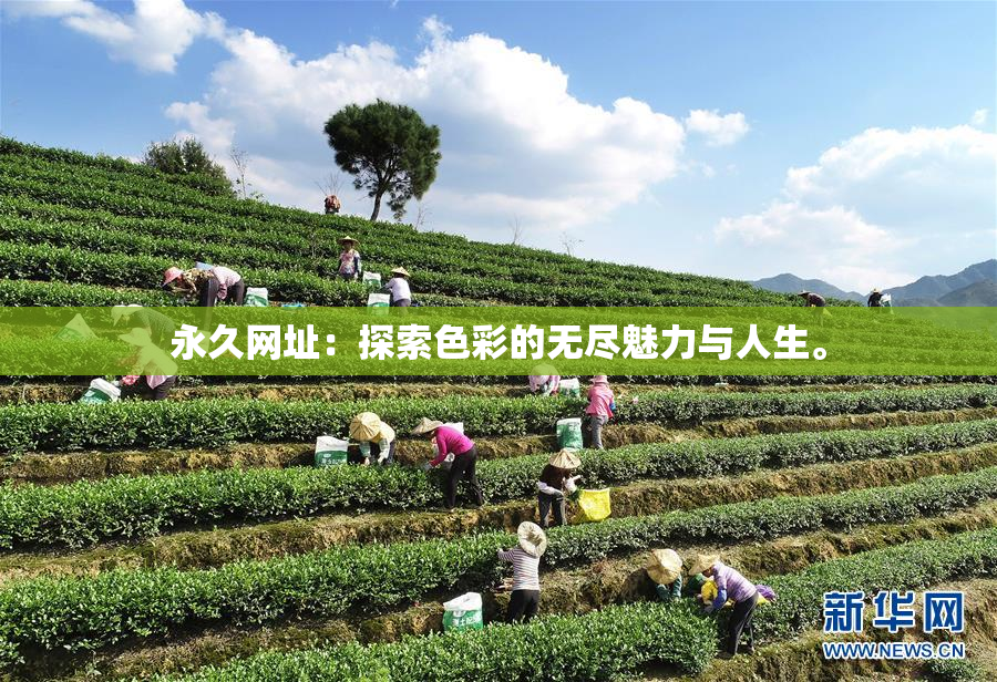 永久网址：探索色彩的无尽魅力与人生。