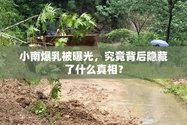 小南爆乳被曝光，究竟背后隐藏了什么真相？