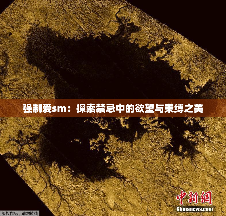 强制爱sm：探索禁忌中的欲望与束缚之美