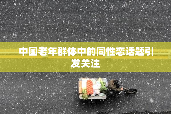 中国老年群体中的同性恋话题引发关注