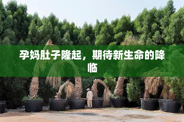 孕妈肚子隆起，期待新生命的降临