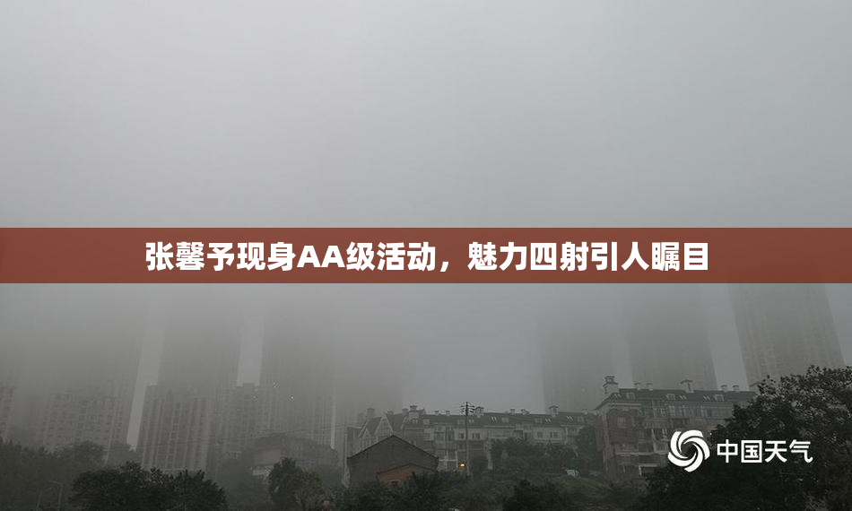 张馨予现身AA级活动，魅力四射引人瞩目