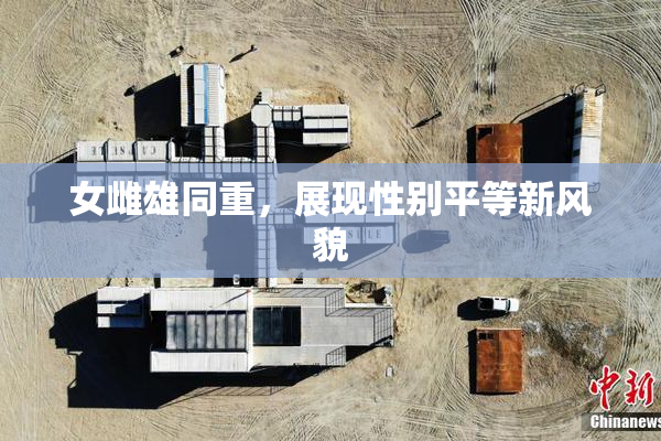女雌雄同重，展现性别平等新风貌