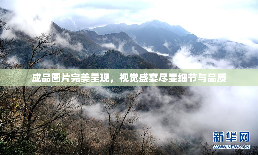 成品图片完美呈现，视觉盛宴尽显细节与品质