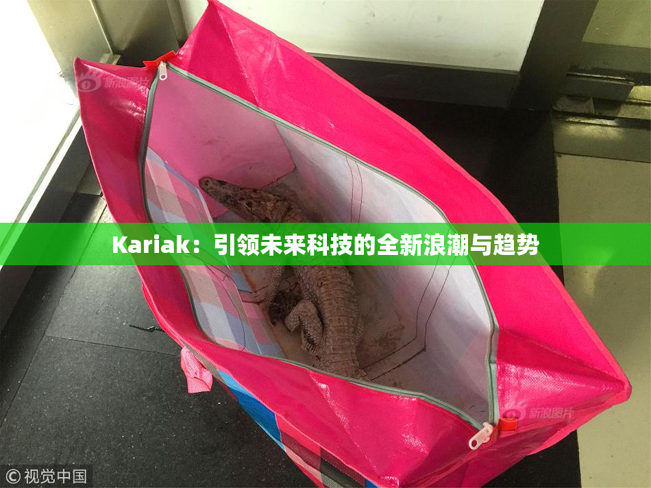 Kariak：引领未来科技的全新浪潮与趋势