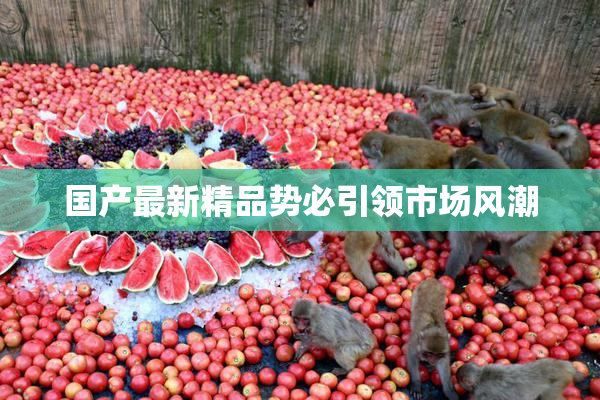 国产最新精品势必引领市场风潮