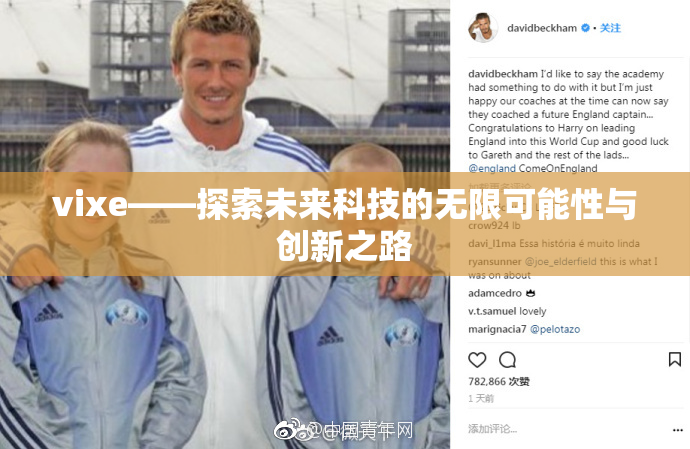 vixe——探索未来科技的无限可能性与创新之路