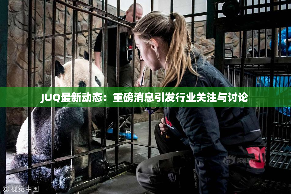 JUQ最新动态：重磅消息引发行业关注与讨论