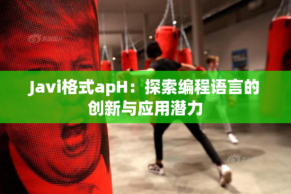 Javi格式apH：探索编程语言的创新与应用潜力