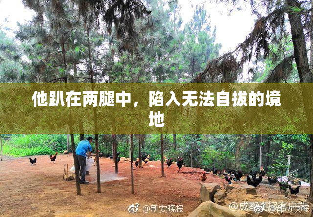 他趴在两腿中，陷入无法自拔的境地