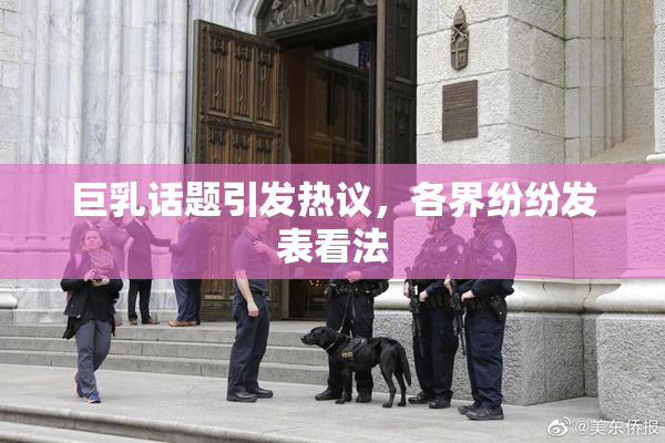 巨乳话题引发热议，各界纷纷发表看法
