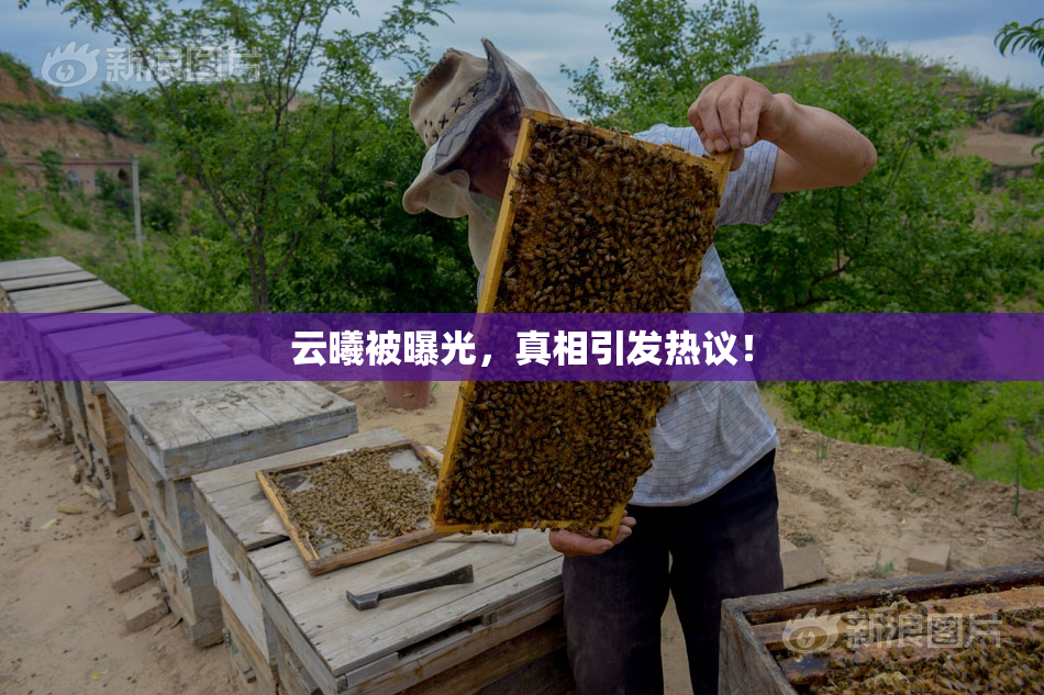 云曦被曝光，真相引发热议！
