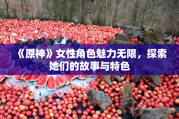 《原神》女性角色魅力无限，探索她们的故事与特色