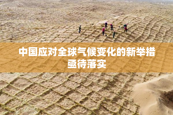 中国应对全球气候变化的新举措亟待落实